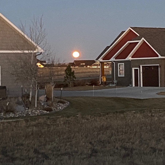 Meet your Posher, Michael - Picture 1 of 1